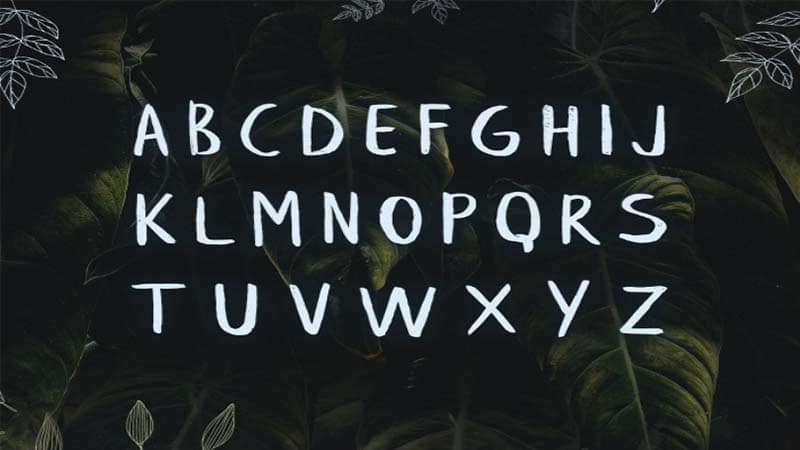 Leafy Font Family Download