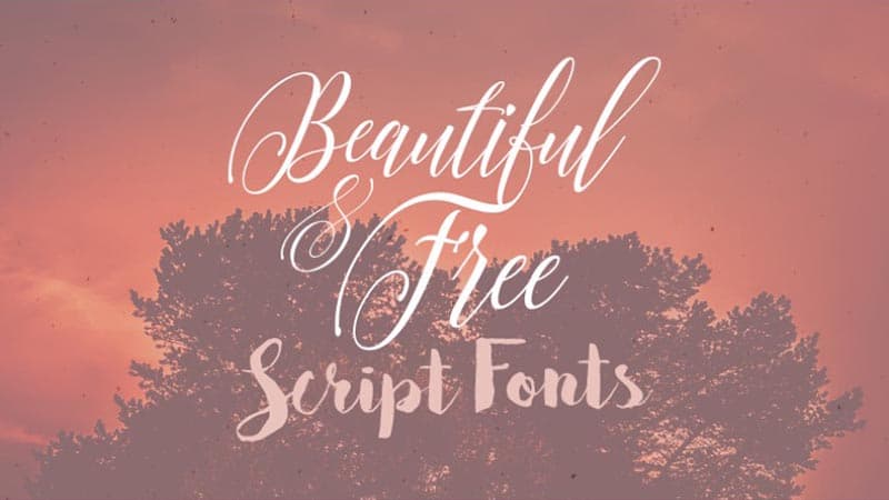 Amarillo Font Family Download