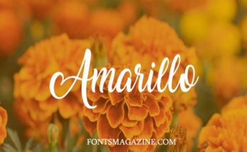 Amarillo Font Family Free Download