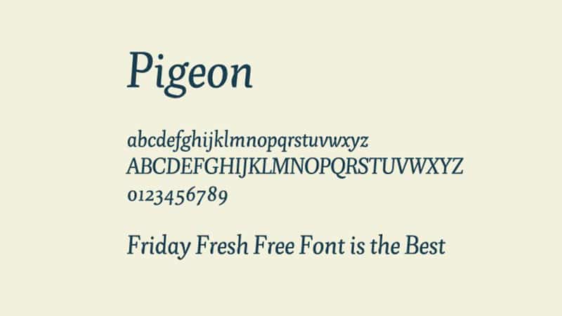 Pigeon Font Free Download