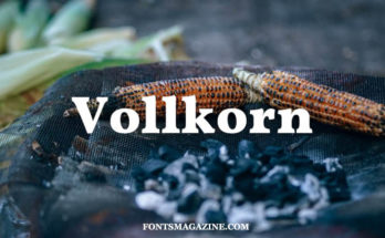 Vollkorn Font Family Free Download