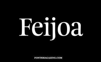 Feijoa Font Family Free Download