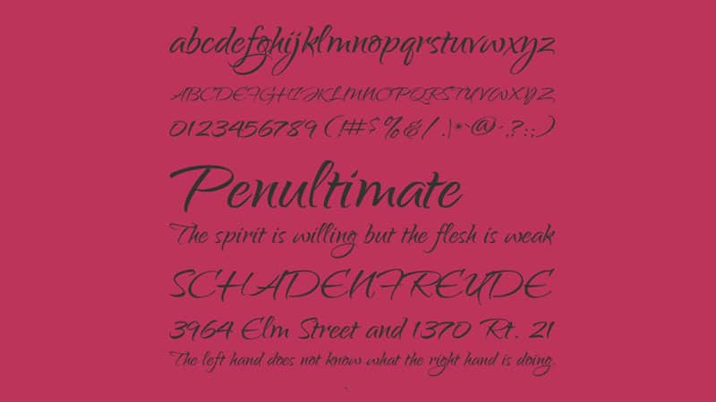 Qwigley Font Family Download
