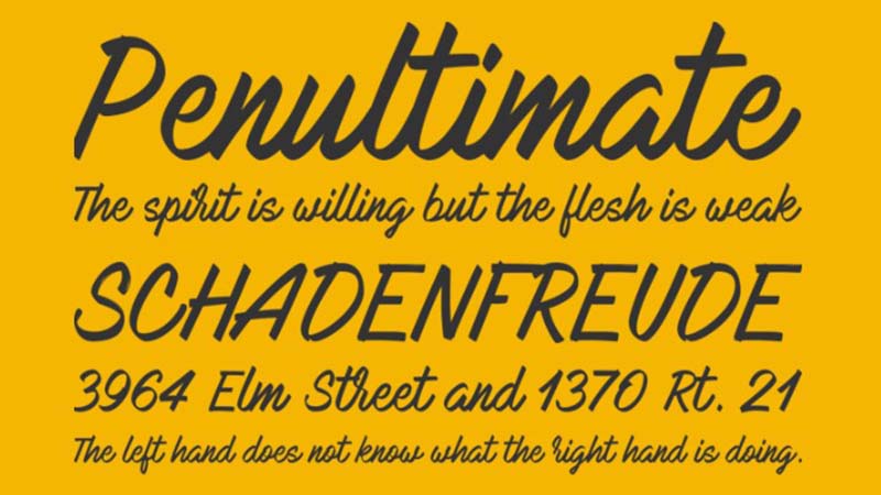 Mark My Words Font Family Download