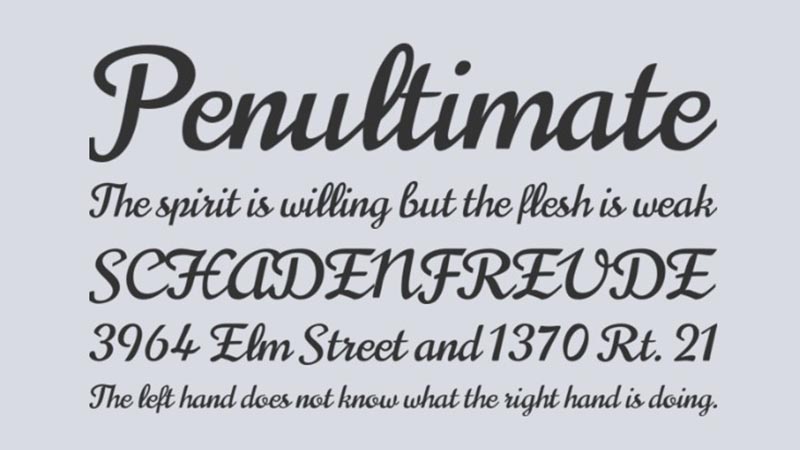 Norican Font Family Download
