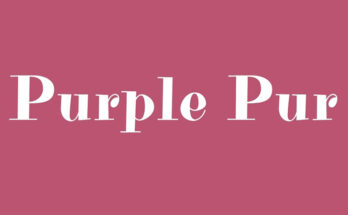 Purple Purse Font Family Free Download