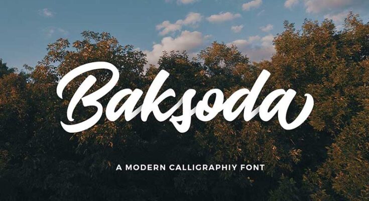 Baksoda Script Font Family Free Download