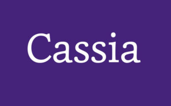 Cassia Font Family Free Download