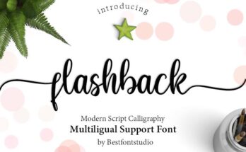 Flashback Font Family Free Download