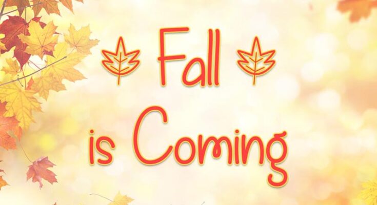 Fall is Coming Font Family Free Download