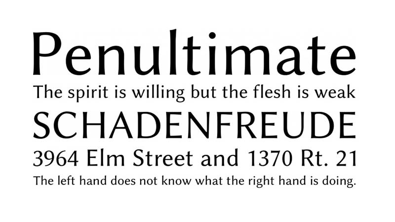 Linux Biolinum Font Family Download