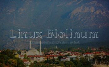 Linux Biolinum Font Family Free Download